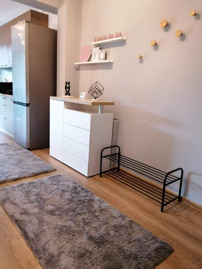 Apartament Luxury Miruna Apartment Risnov Exterior photo